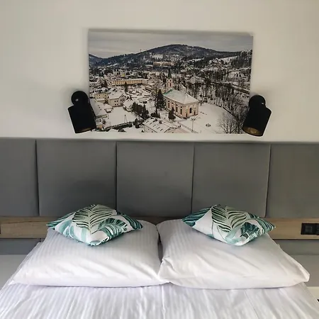 Guest house Wislanskie Doliny Wisla